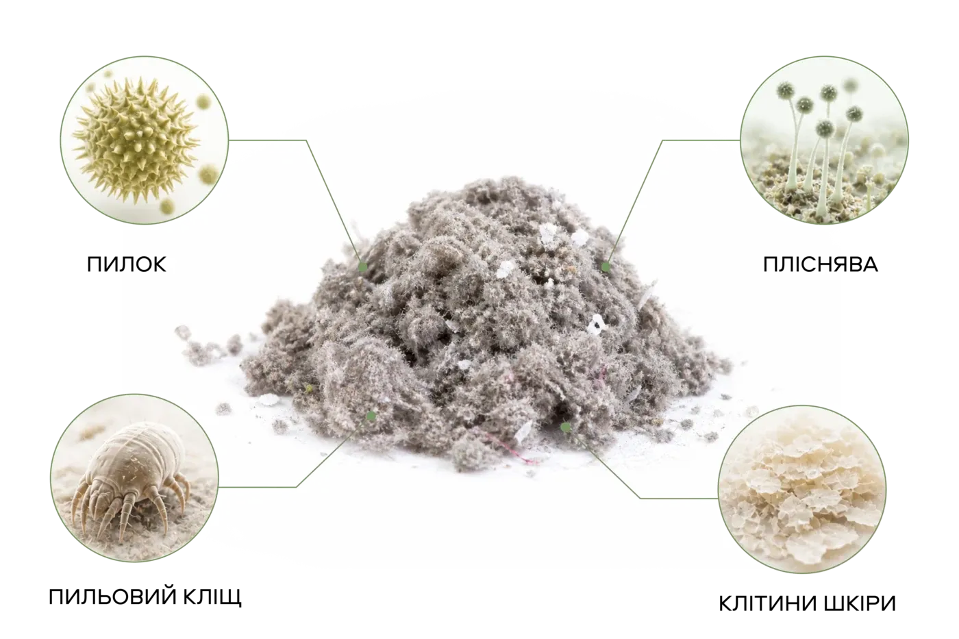 Radial diagram of house-dust composition: pet allergens, fabric fibers, pollen, food residues, skin epithelium, fungus and spores, lint and feathers