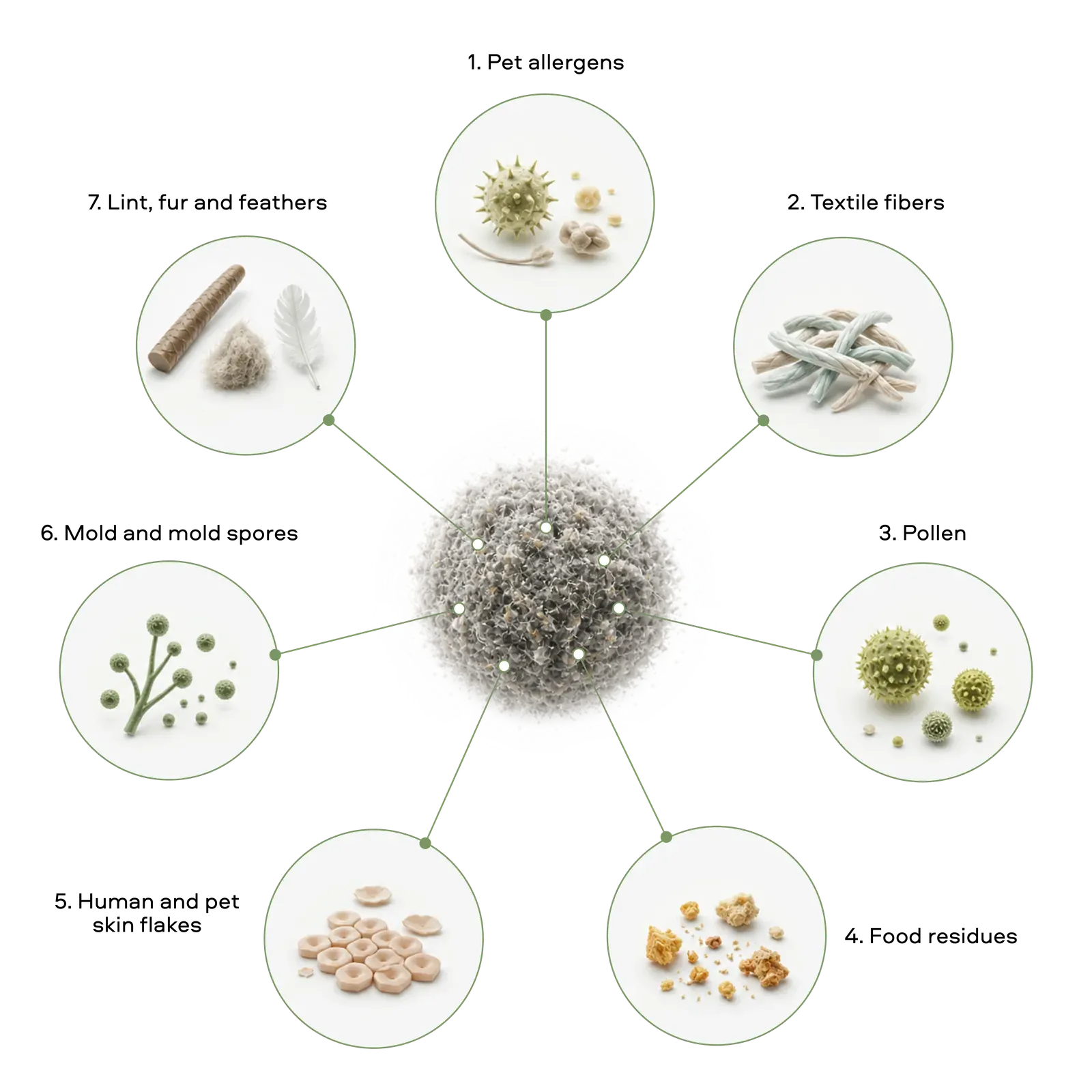 Radial diagram of house-dust composition: pet allergens, fabric fibers, pollen, food residues, skin epithelium, fungus and spores, lint and feathers