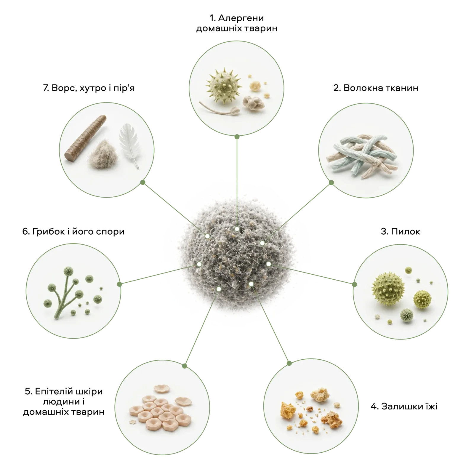 Radial diagram of house-dust composition: pet allergens, fabric fibers, pollen, food residues, skin epithelium, fungus and spores, lint and feathers